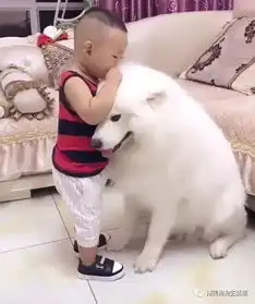 妈妈伸手过去假装打宝宝,萨摩耶做出的举动暖哭众人