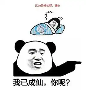 修仙表情包不睡觉修仙表情包黑眼圈熊猫修仙表情包