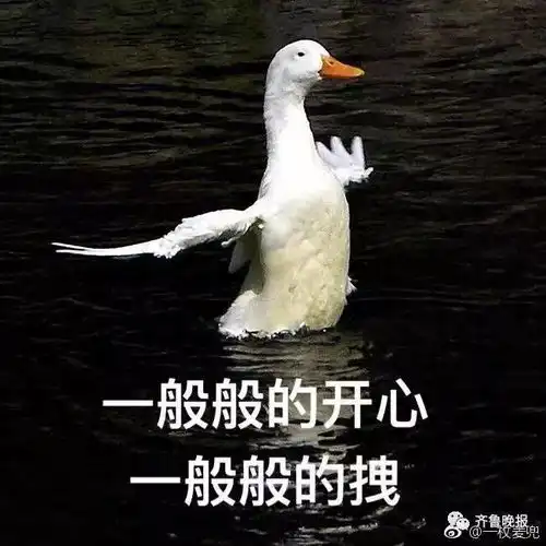 被中秋限定款长鹅笑喷网友被王建国谐音梗支配了