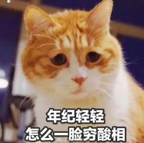 双十一之夜,商学院老师教你如何正确剁手