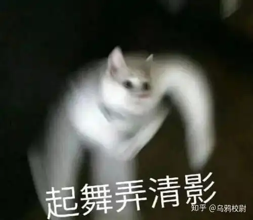 带薪摸鱼指南