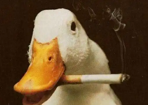 爆笑段子你工作表现的不错,工资准备给你涨三百