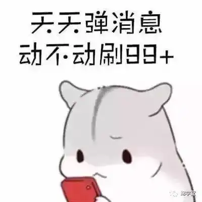 绵阳家长速看本地户籍怎么就读公立小学初中答案来了