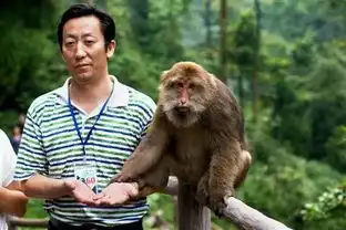 笑cry奈良的鹿峨眉山的猴动物界的五大扛把子,你一个都惹不起
