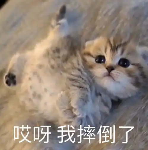 放开我,我要去干饭肚子胖胖,生活旺旺