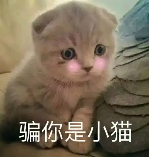 泪流满面表情包熊猫超大