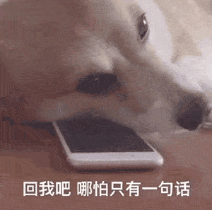 沙雕表情包分享你好,我舔狗