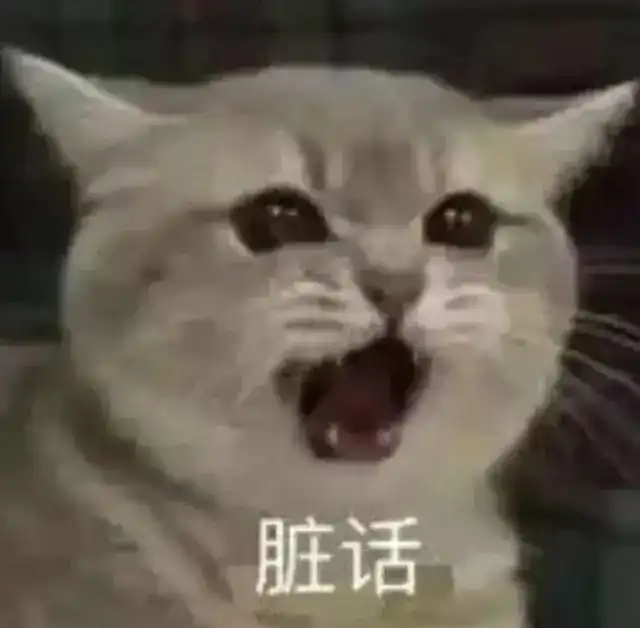 可爱猫猫表情包为了生活,居然沦落至此...