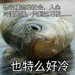 摸鱼鱼表情包什么意思诡
