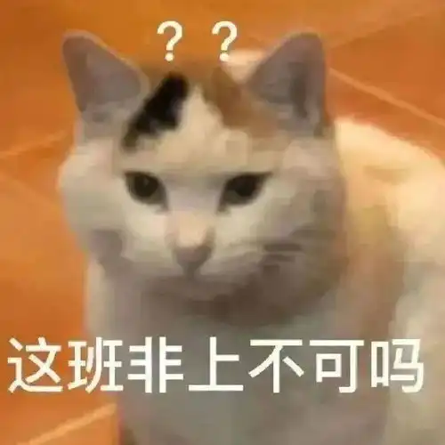 鸡哔你猫咪表情包