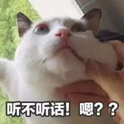 雨女无瓜一夜火了,到底啥梗知道真相的我哈哈哈哈哈哈哈