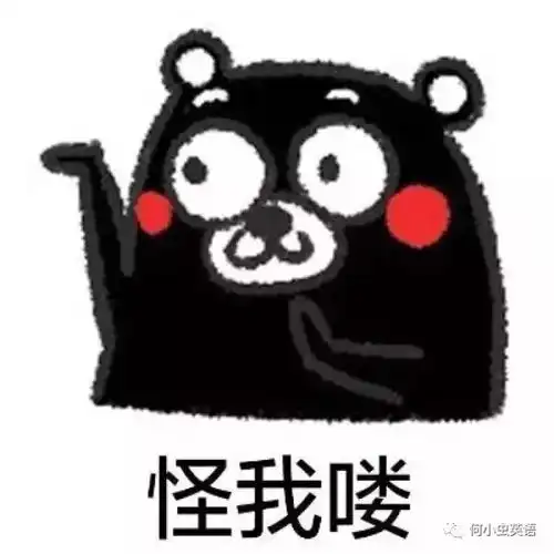 577课好奇害死猫的由来