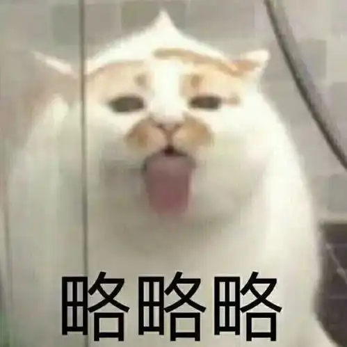 俊介走了,楼楼也走了,谢谢你们带来的快乐