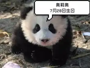 泪流满面表情包熊猫任豪