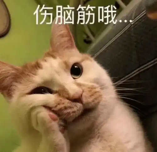 猛虎落地式下跪表情包结