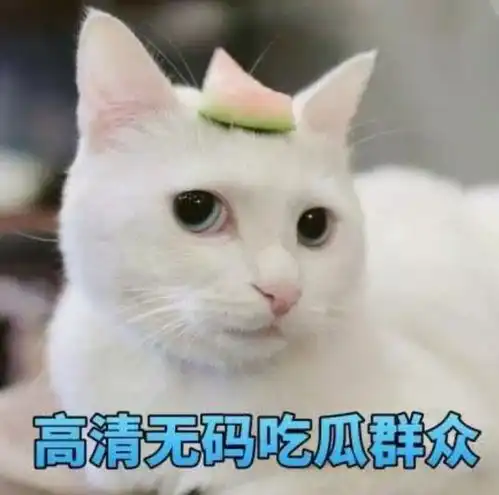 你最常用哪些有意思的表情包