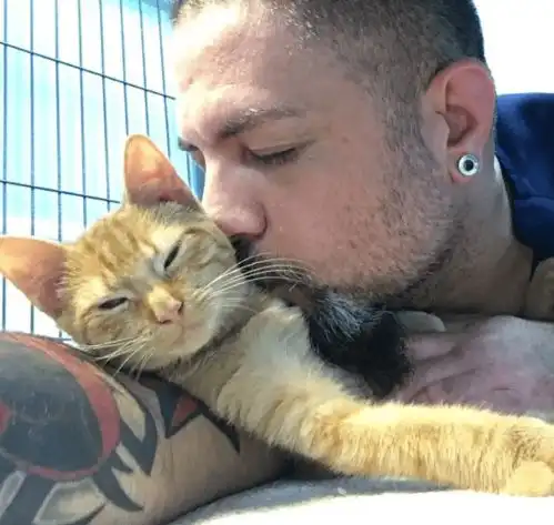 阅猫无数的男子既是兽医也是救助志愿者,连家里也全是猫