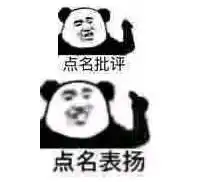 熊猫点名表扬的表情包是什么意思梗吗