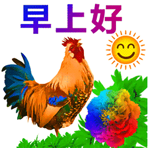 2月最新早上好祝福语图片早上好新的动态图片表情大全