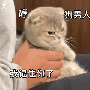 尖叫黑猫表情包gif