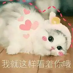 老外说putfootinmouth可不是把脚放嘴里真正的意思你绝对想不到