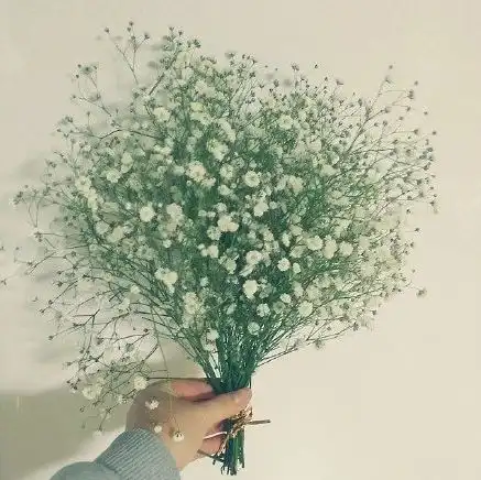 既然目标是地平线留给世界的只能是背影