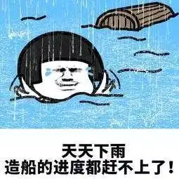 阴雨雨雨绵绵,裤衩都晾不干绵阳的流浪太阳好久才回家