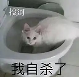 熊猫头斗图表情年纪轻轻,就知道用脸吓唬人了