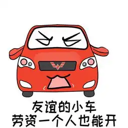网通社汽车红河通合