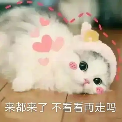 旅游生活收藏夹