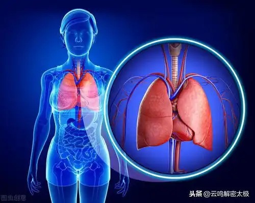 会呼吸就会气沉丹田,一个神奇的呼吸方式只需一步就能学会