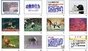 第五单元生物圈中的动物和微生物课件北师大版八年级上册生物第五单元生物圈中的动物和微生物ppt下载