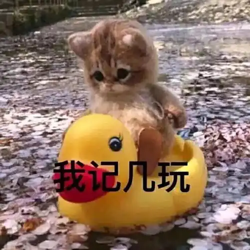 我的收藏