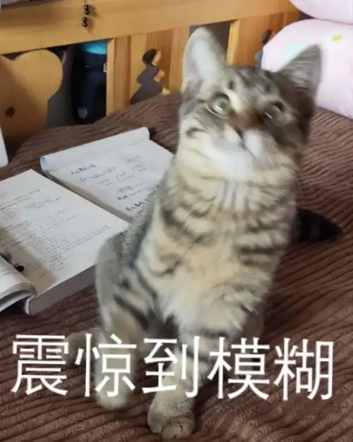 猛虎落地式下跪表情包打