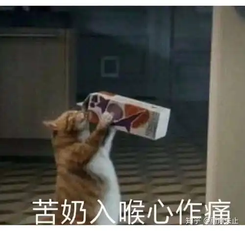 在青岛农业大学就读是一种什么体验