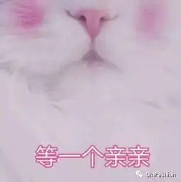 羡慕不已戚薇收藏了10个冰箱的香水年代最久远的有60年了