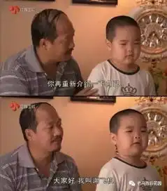 我叫谢飞机,我有个叫谢广坤的爷爷,我很危险最全表情包合集