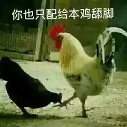 家禽表情包呆鸡