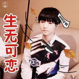 王俊凯表情,图片来自tfb节操资源分享站堆糖,美好生活研究所
