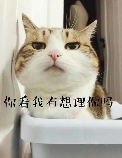 每日一笑前几天我一个土肥圆哥们突然从网上认识了个极品妹子