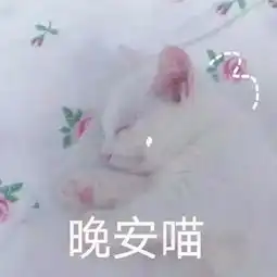 胡巴动态图表情包美梦