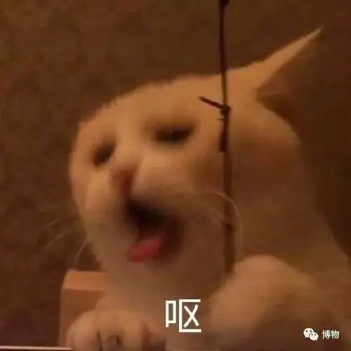 你努力憋住的屁,最后都去哪了
