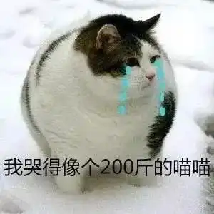 紧急提醒冷雨台商区接下来天气太刺激了