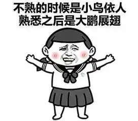 身体虚就身体虚表情包无