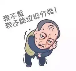 垃圾分类不用愁,支付宝小程序已上线企业究竟该如何运营小程序