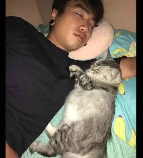 网友发现男友和猫睡在一起,猫还睁大眼睛瞪她这个奴才是朕的