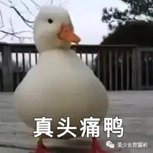 抖音一姐刘思瑶被喷到退圈了