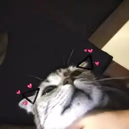 男生长得丑有什么好处