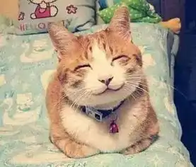 最全医院表情包,不许笑