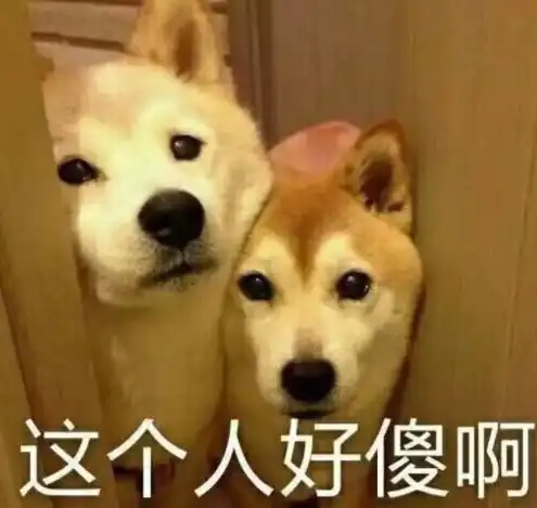 母猪图片表情包抱抱